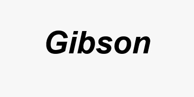 Logo_Gibson
